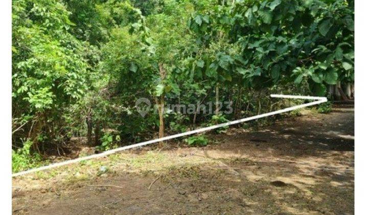 Tanah di Belimbing Sari, Badung SHM 5.000 m² 2