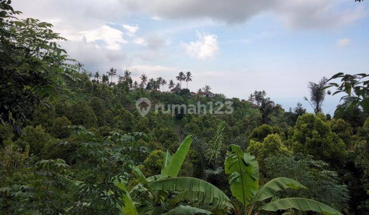 Dijual Cepat Tanah yang Berlokasi dekat Pantai Lovina Buleleng Singaraja 2