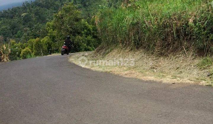Dijual Cepat Tanah yang Berlokasi dekat Pantai Lovina Buleleng Singaraja 4