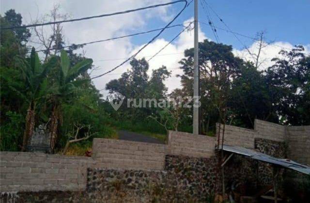 Dijual tanah Luas 6.5 Hektar di Sukasada, Buleleng Bali - Ideal untuk Pariwisata dan Bisnis 2