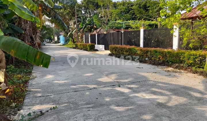 Tanah Murah Kavling Di Sukamaju Baru Depok Tanah Murah Kavling Di Sukamaju Baru Depok