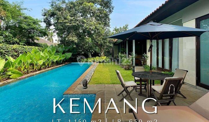 Rumah Dijual Kemang Designed By Yori Antar Bangunan 1 Lantai Halaman Luas 1