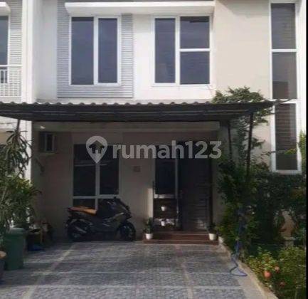 Rumah nyaman di lingkungan cluster Paradise Serpong City Rumah di Paradise Serpong City 2 Lantai 2 Lantai di Paradise Serpong City Lainnya Rumah Bagus 1