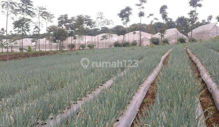 Tanah Kebun Datar Strategis Arjasari Kabupaten Bandung 1