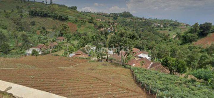 Tanah Kavling Murah Strategis Jalan Dago Pakar Dekat Dengan Kawasan Villa Dan Cafe  1