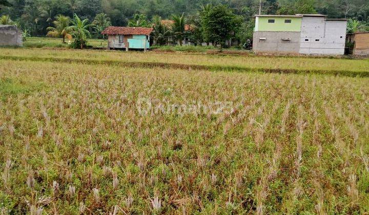 Tanah sawah strategis aktif di Blok cimareme Haurwangi cianjur   2