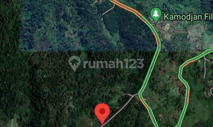 Tanah strategis daerah Kamojang Garut Tanah strategis daerah Kamojang Garut