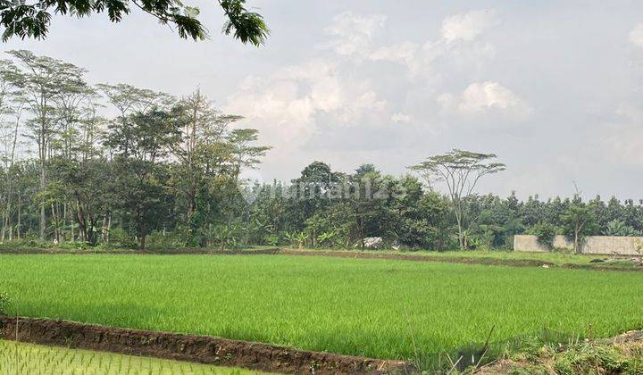 Tanah Strategis di Jalan Mekarsari Baleendah 1