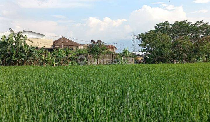 Tanah Strategis dekat taman Kopo di Margaasih  2