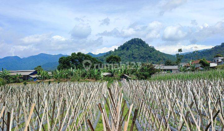 Tanah kebun strategis lokasi di Ciater dekat area villa dan tempat wisata  2