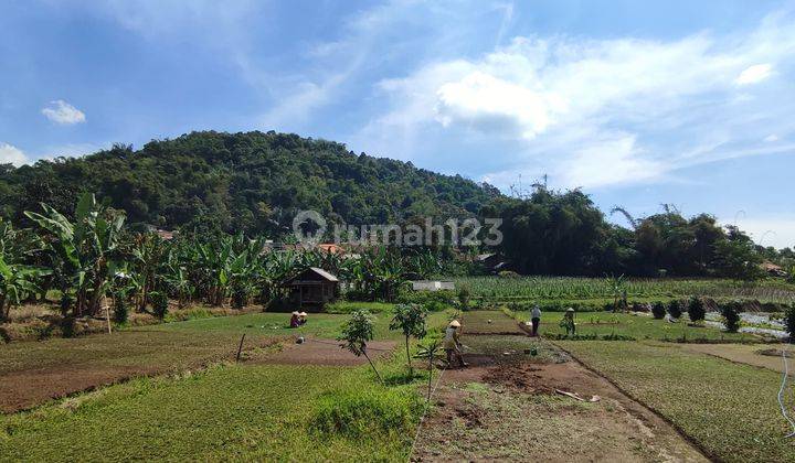 Tanah kebun strategis lokasi di Ciater dekat area villa dan tempat wisata  1