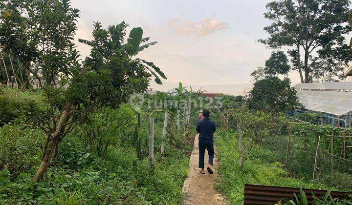 Tanah Kebun Datar Strategis Arjasari Kabupaten Bandung 2