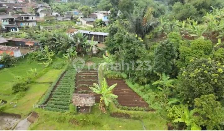 Tanah Sawah Strategis Di Rancakendal Tanah Sawah Strategis Di Rancakendal
