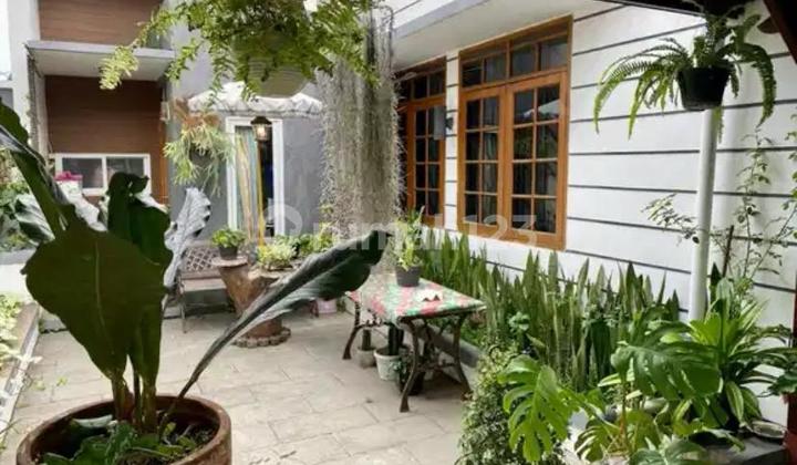 Good Comfortable and Lush House in Pasteur