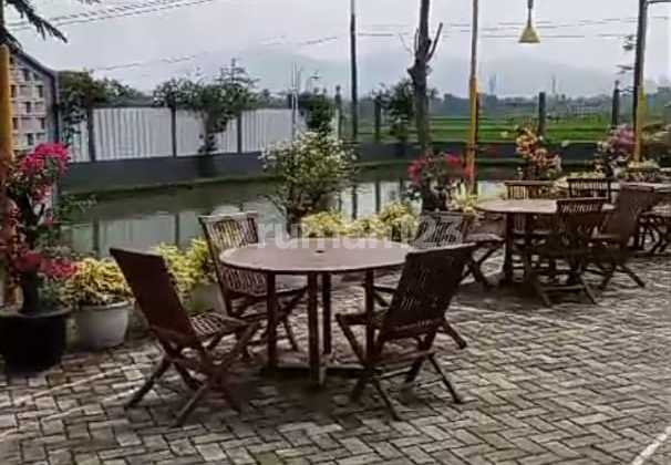 Villa Nyaman Dan Asri View Sawah Di Plered Purwakarta