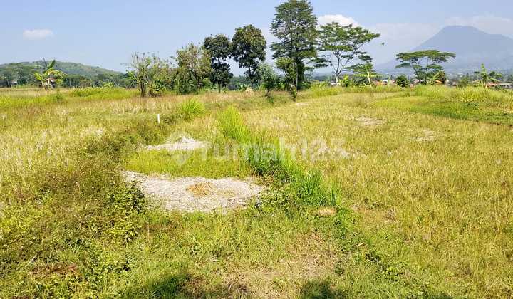 Tanah Strategis Peruntukan Industri Dan Gudang Di Limbangan Garut Tanah Strategis Peruntukan Industri Dan Gudang Di Limbangan Garut