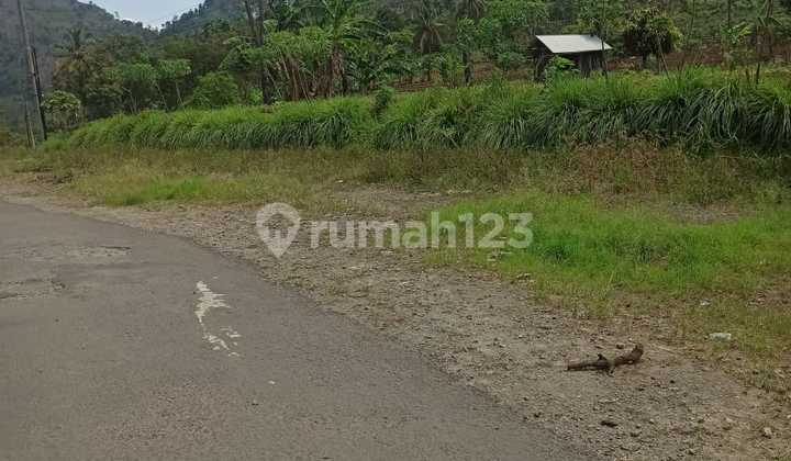 Tanah Datar Strategis Di Leles Garut
