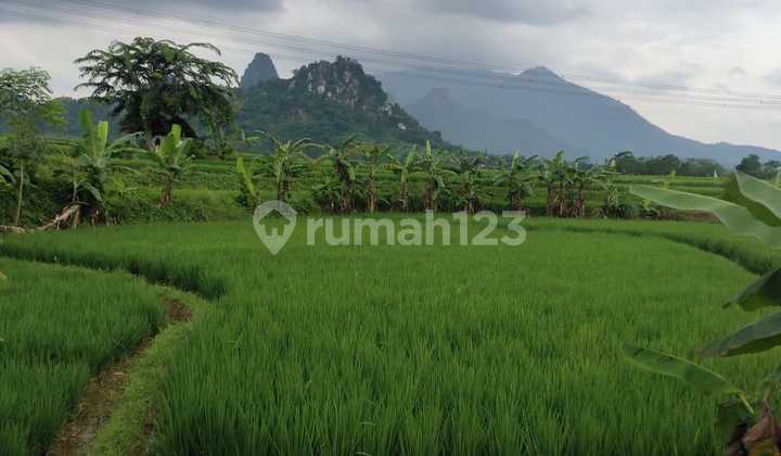 Tanah Sawah Strategis Di Jonggol Kabupaten Bogor Tanah Sawah Strategis Di Jonggol Kabupaten Bogor