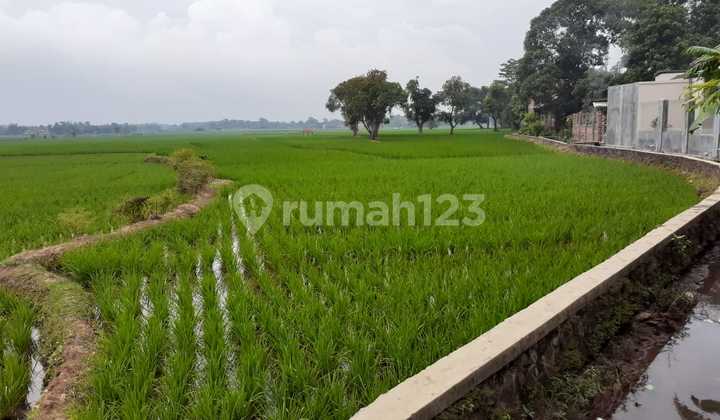 Tanah Strategis Di Subang Dekat Purwakarta , Subang