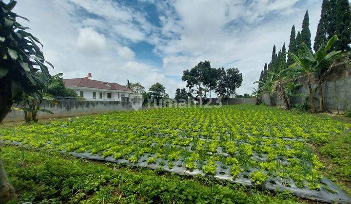 Tanah Strategis di padasaluyu , Setiabudi 2