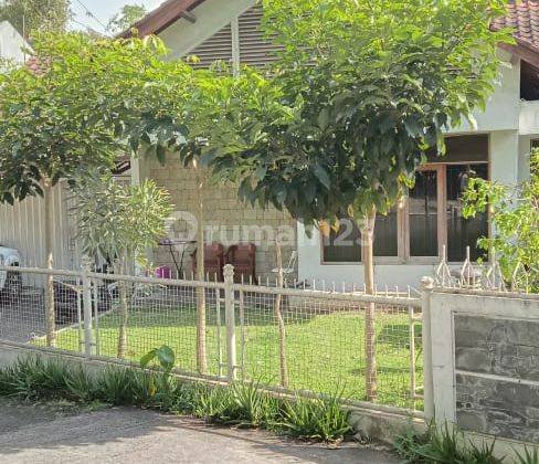 Rumah Asri Dan Nyaman di Jalan kiputih, Ciumbuleuit 2