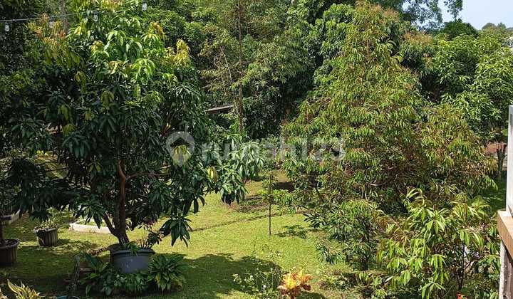 Rumah Dan Kebun Cafe Mijen Belakang Pasar  2
