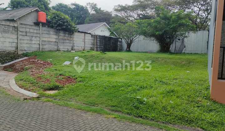 Foresta Placido Plot in BSD Foresta Placido Plot in BSD