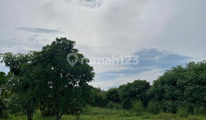 Land for Sale in Cisauk Serpong Tangerang