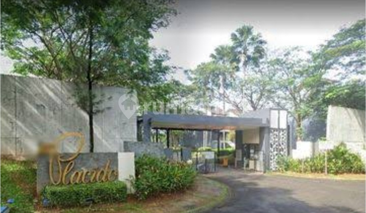 Foresta Placido Plot in BSD Foresta Placido Plot in BSD