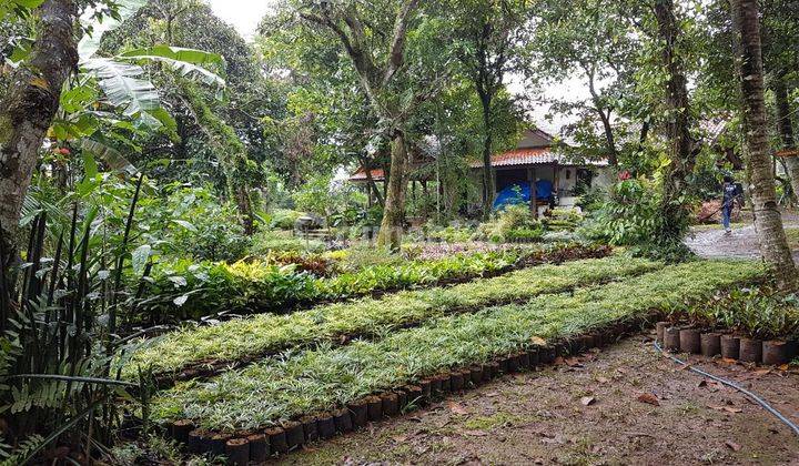 DIJUAL Tanah 2560 m2 Bojong Sari, Depok 1