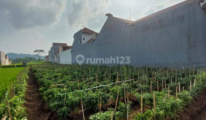 Tanah Strategis Cocok Untuk Perumahan Gudang Pabrik Di Lawang 7
