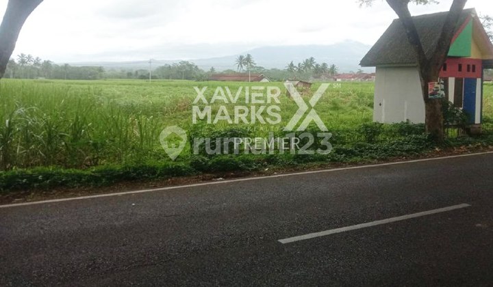 Tanah Lahan Siap Bangun di Jalan Poros Jalibar Kepanjen Malang  1