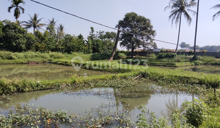 Tanah Luas di Jalan Raya Laswi Majalaya cocok untuk berinvestasi 6