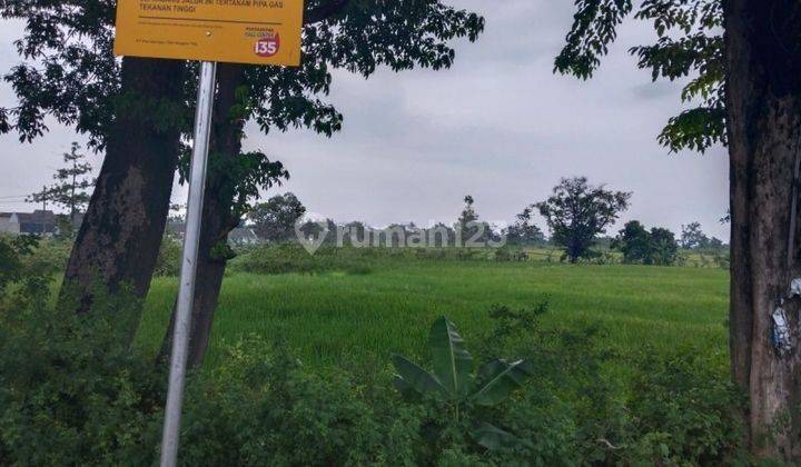 Tanah 3369 M2 Dijual Di Sukorejo Pandaan Pasuruan Gmk02081 1