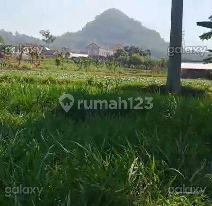 Tanah 30.000 M2 di Kota Batu, View Pegunungan Gmk03114 1