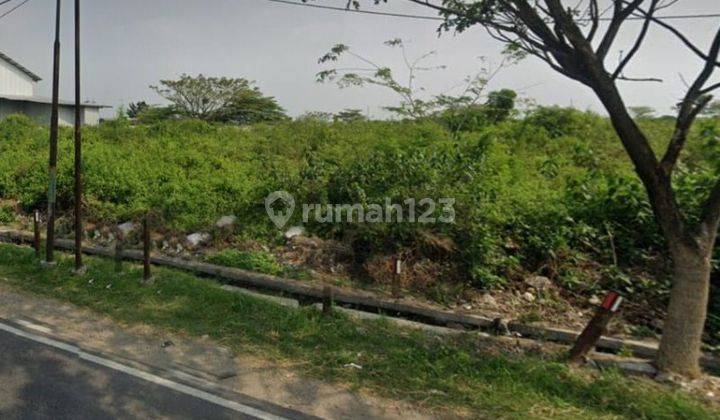 Tanah Murah Strategis Dijual di Widang Tuban Gmk02102 2