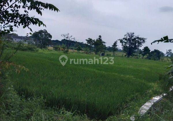 Tanah 3369 M2 Dijual di Sukorejo Pandaan Pasuruan Gmk02081 2