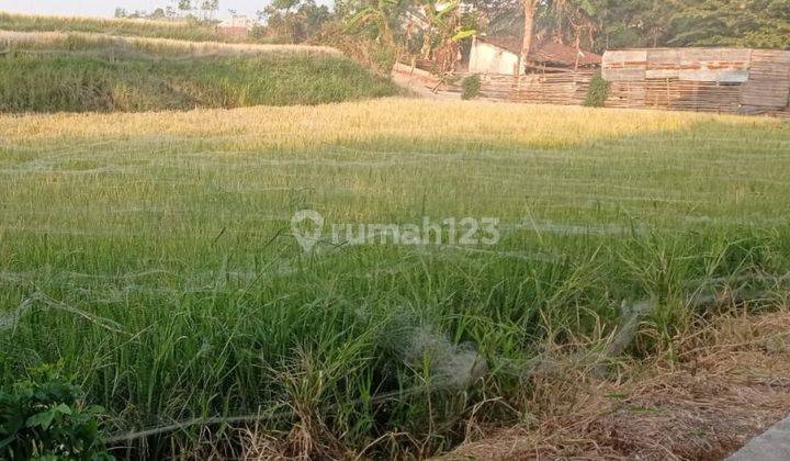 Tanah Luas Besar Dijual di Jatimulyo Lowokwaru Malang Gmk01519 2