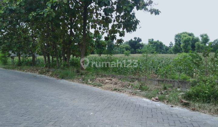 Tanah 4960 M2 di Desa Tlogosadang Paciran Lamongan Gmk02773 1