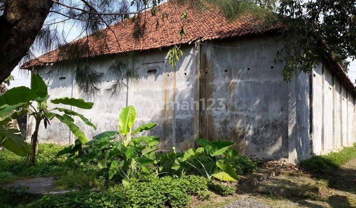 Rumah Walet Strategis Di Lespadangan Mojokerto Gmk02426 1