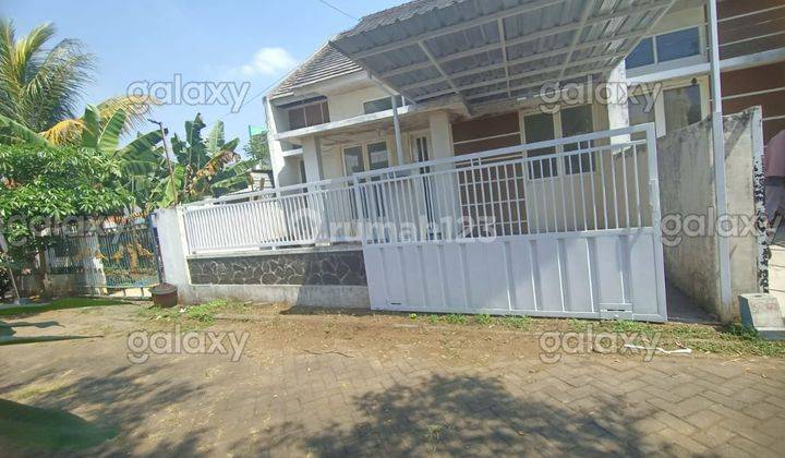 Rumah Bagus Murah Minimalis di Pakis Malang Gmk02984 1