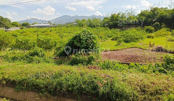 Tanah Murah Lokasi Strategis Karanganyar Kebumen Gmk02947 2