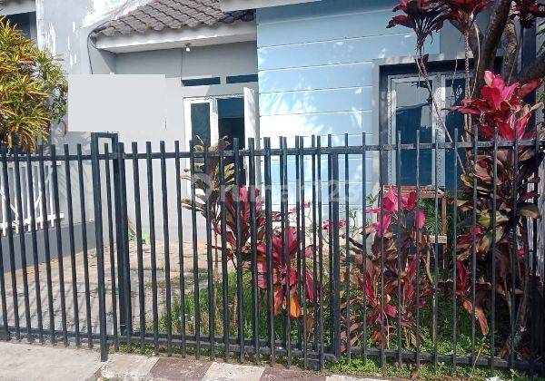 Rumah Murah Disewakan di Perumahan Bandulan Malang Gmk02021 2