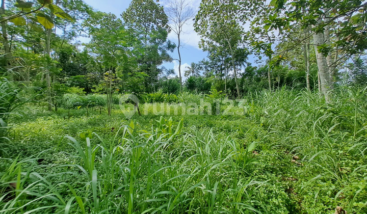 Tanah Strategis 547 m2 di Daerah Buring Malang GMK02836