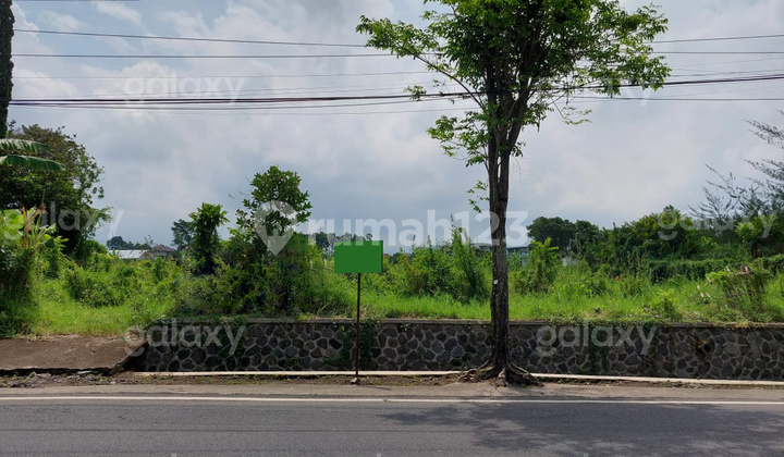 Tanah Strategis Nol Jalan Raya Kota Batu GMK03261 Tanah Strategis Nol Jalan Raya Kota Batu GMK03261