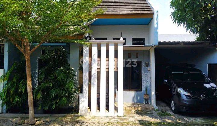 Di Jual Rumah Bagus Siap Huni Di Sambiroto Dekat Undip 1