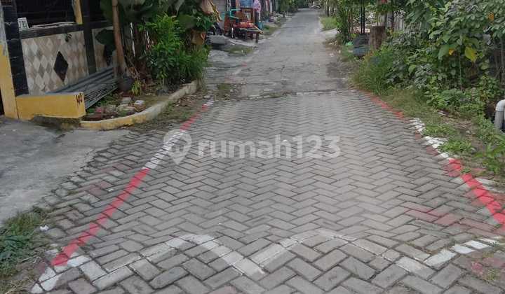 Di Jual Murah Tanah Bonus Bangunan Di Tembalang Dekat Undip 2