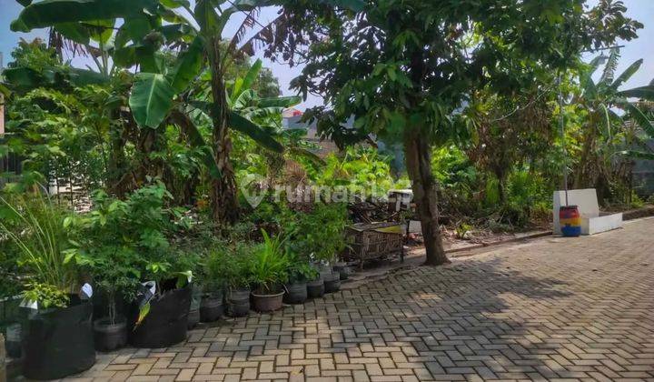 Di Jual Tanah Premium Di Sambiroto Dekat Kampus Unimus 2