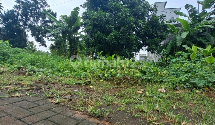 For Sale Premium Build-Ready Land in Tembalang Near Undip 2