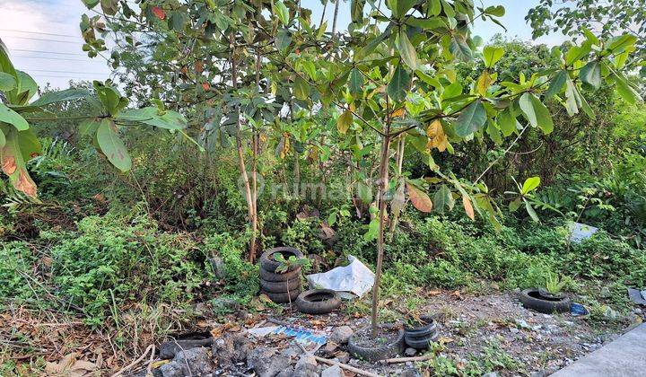 DI JUAL TANAH PREMIUM DI DOLOG DEKET KOTA TENGAH KOTA 1
